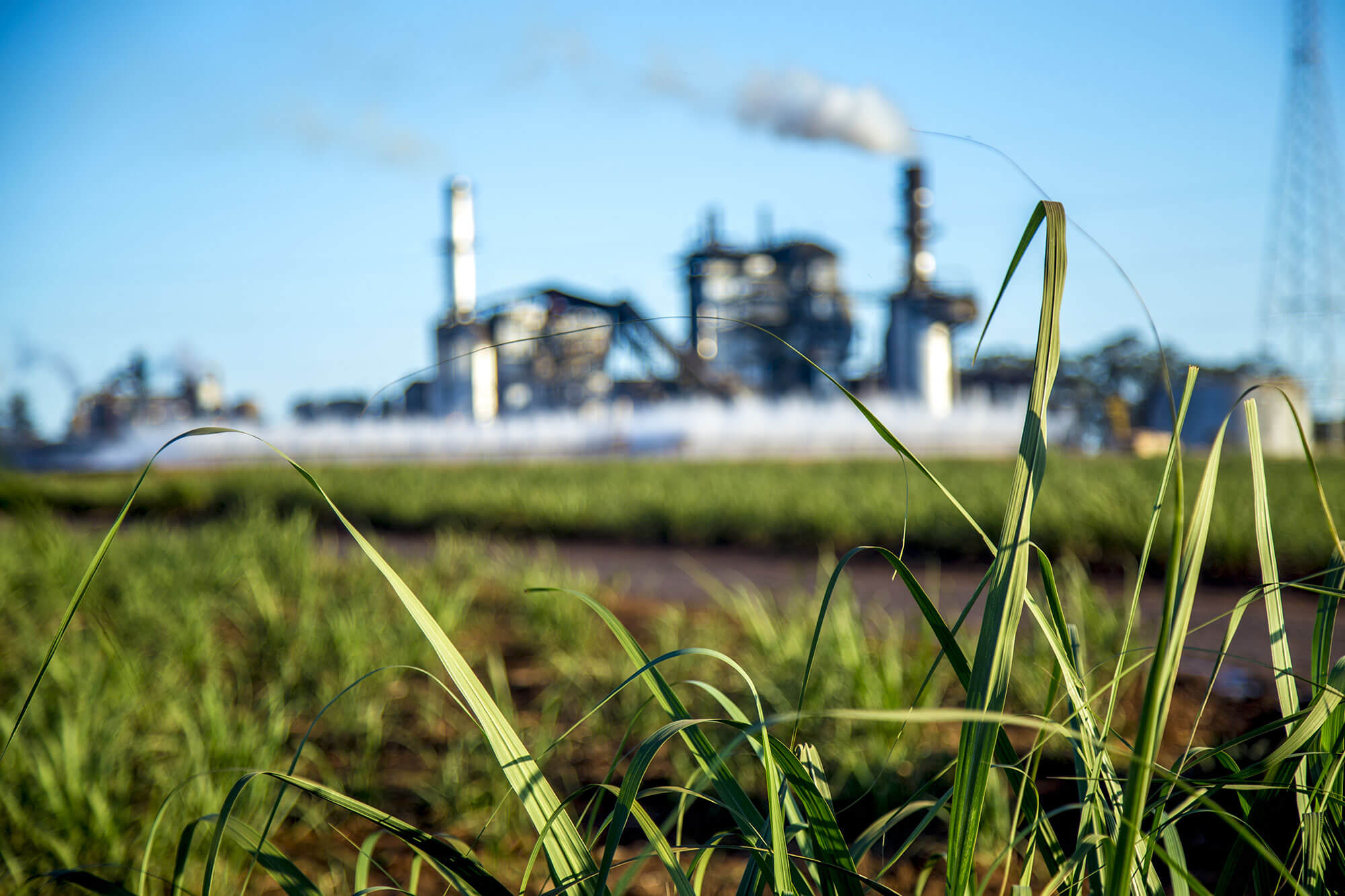 Strategic support for a corporate takeover